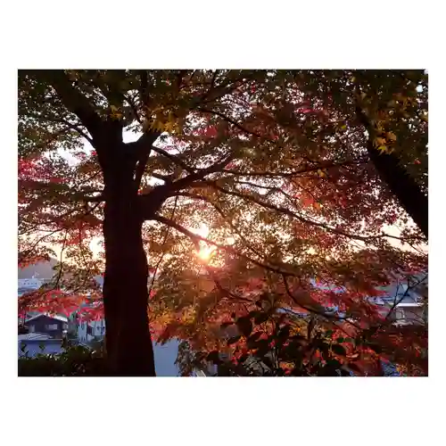 岐阜稲荷山本社(岐阜県)