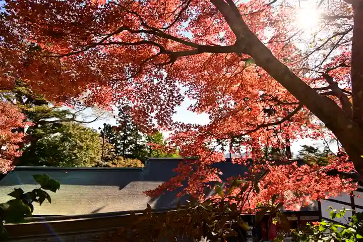 高尾山薬王院の自然