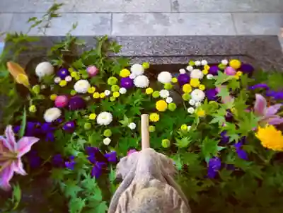 滑川神社 - 仕事と子どもの守り神の手水舎