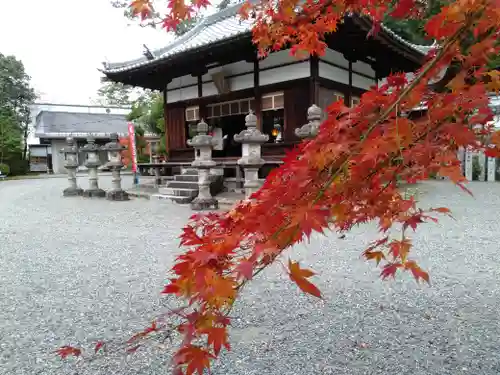 新屋坐天照御魂神社の本殿