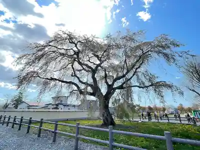 法亀寺(北海道)