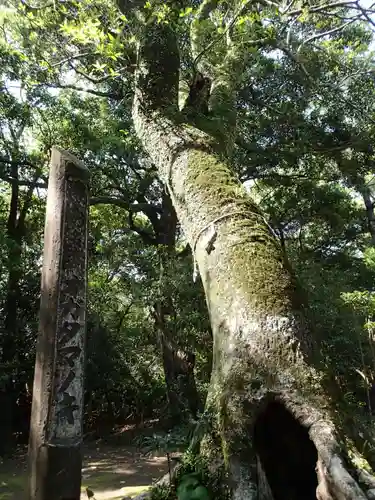 みそぎ御殿の自然