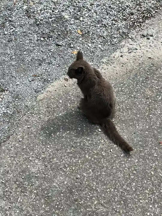佐野赤城神社(栃木県)
