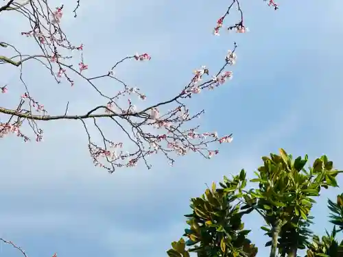 要泉寺(三重県)