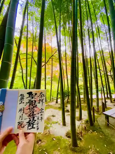 明月院(神奈川県)