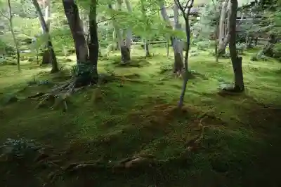 祇王寺(京都府)