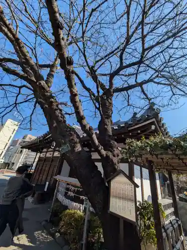 感通寺(東京都)