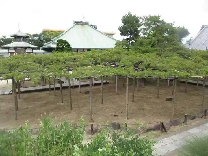 善養寺(東京都)