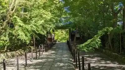 光明寺（粟生光明寺）(京都府)