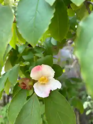 観音寺(兵庫県)