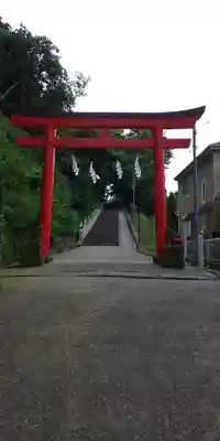 富岡八幡宮の鳥居