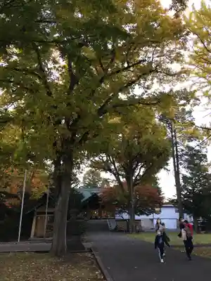 厚別神社のその他建物