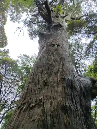 麻賀多神社(千葉県)