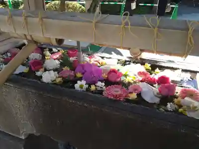 鳩森八幡神社の手水舎