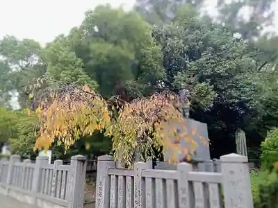 和泉國一之宮　大鳥大社(大阪府)