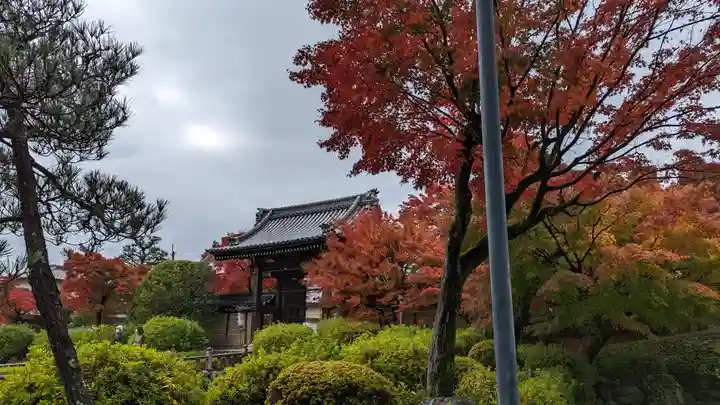 妙満寺(京都府)