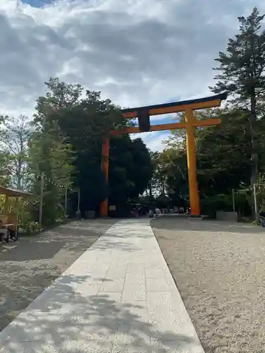 川越氷川神社の鳥居