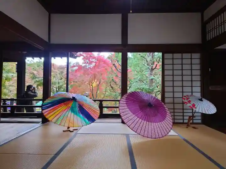 勝林寺(京都府)