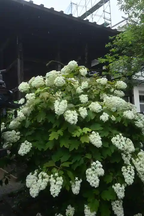 高幡不動尊 金剛寺(東京都)