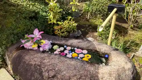 本妙院(東京都)