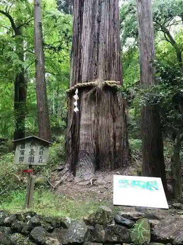 石山寺(滋賀県)