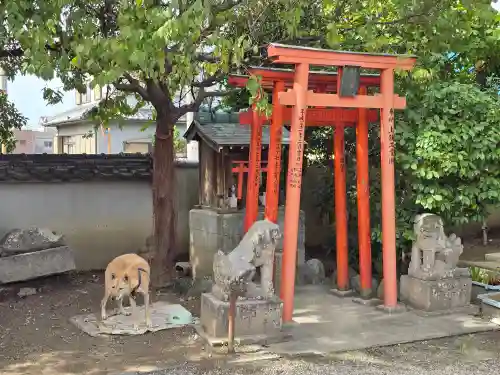 阿弥陀寺(大阪府)