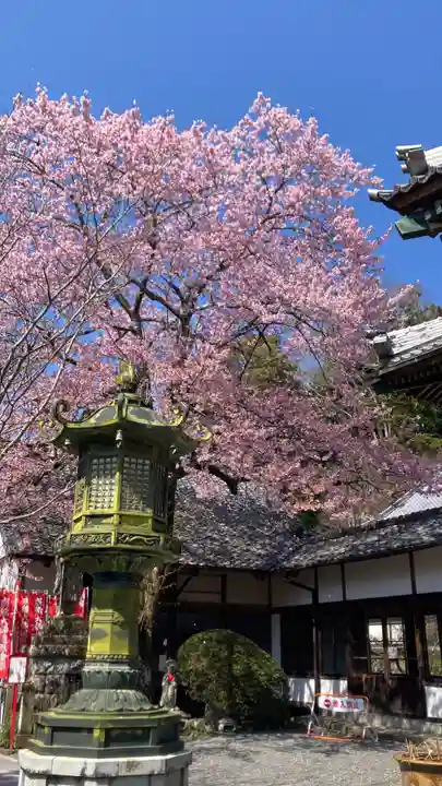 修禅寺(静岡県)