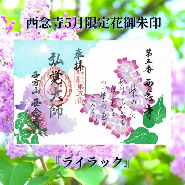 浄土宗 西念寺の御朱印