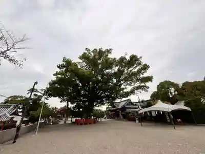 百舌鳥八幡宮(大阪府)