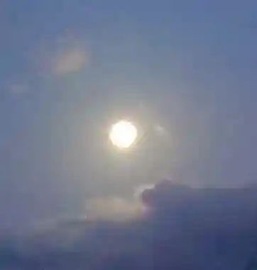 一本杉神社(島根県)