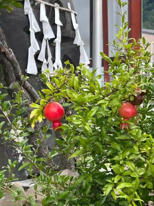 横田神社(長野県)