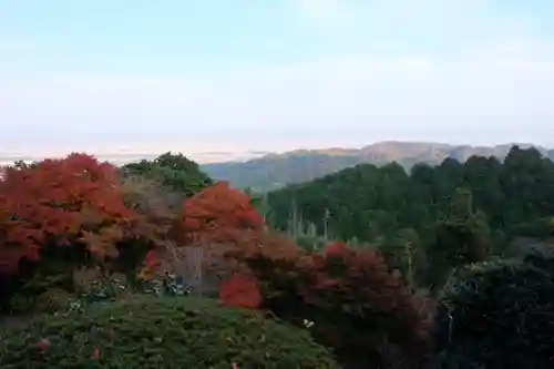 善峯寺(京都府)
