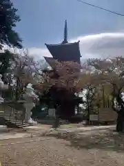 法華経寺の塔