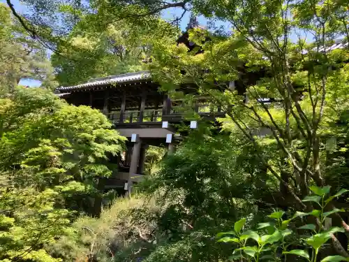東福禅寺（東福寺）(京都府)