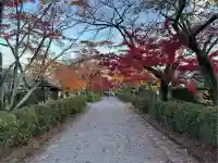 西教寺(滋賀県)