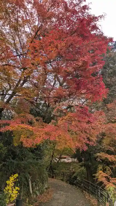 三千院門跡(京都府)