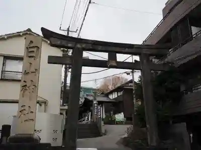 白山神社(東京都)