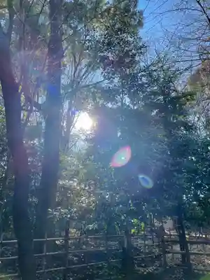 大國魂神社(東京都)