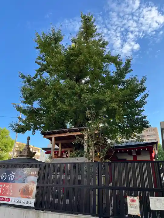 摂津之国 國分寺(金光明四天王護国之寺)(大阪府)