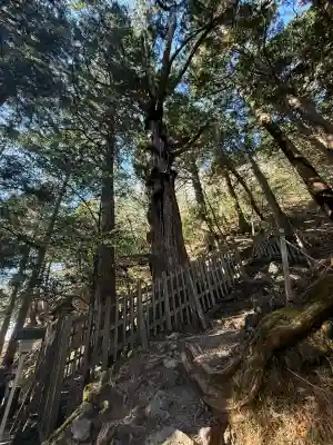 玉置神社(奈良県)