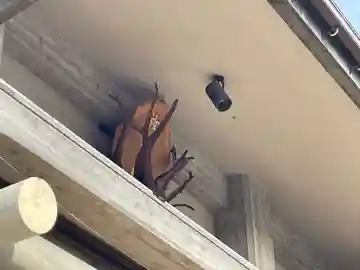 長福寺(京都府)