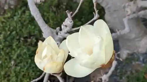 圓光寺(円光寺)(京都府)