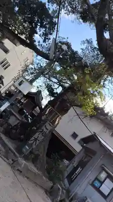 櫟谷七野神社(京都府)