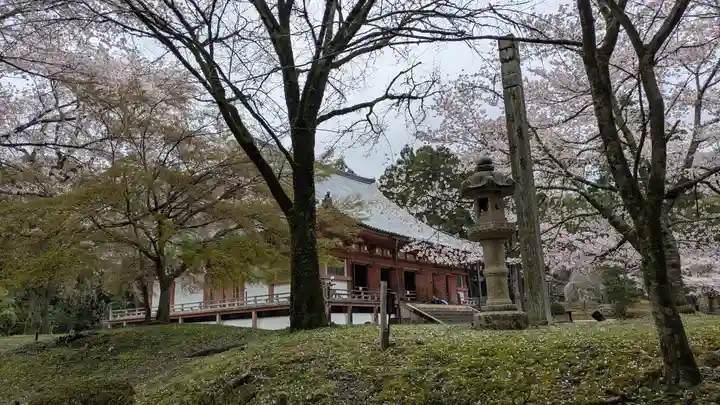 醍醐寺(京都府)