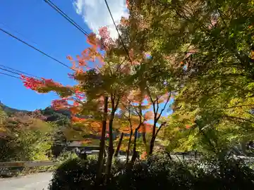 長谷八幡神社(奈良県)