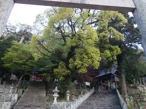 厳原八幡宮神社の建物その他