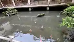 子安神社の庭園