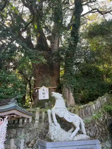 八幡朝見神社の{uncategorized: "未分類", other: "その他", undefined: "問題あり", building: "その他建物", grave: "お墓", sacred_gate: "鳥居", guardian: "狛犬", statue: "像", buddha: "仏像", history: "歴史", nature: "自然", garden: "庭園", animal: "動物", pagoda: "塔", temizu: "手水舎", mountain_gate: "山門・神門", sanctuary: "本殿・本堂", subordinate: "末社・摂社", art: "芸術", scenery: "景色", jizo: "地蔵", ema: "絵馬", goshuin: "御朱印", omikuji: "おみくじ", items: "授与品その他", amulet: "お守り", goshuincho: "御朱印帳", eats: "食事", festival: "お祭り", votive_dance: "神楽", shichigosan: "七五三参", wedding: "結婚式", experience: "体験その他", initially: "初詣", around: "周辺", anti_infection: "感染症対策"}