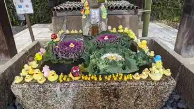 くろ谷 金戒光明寺(京都府)