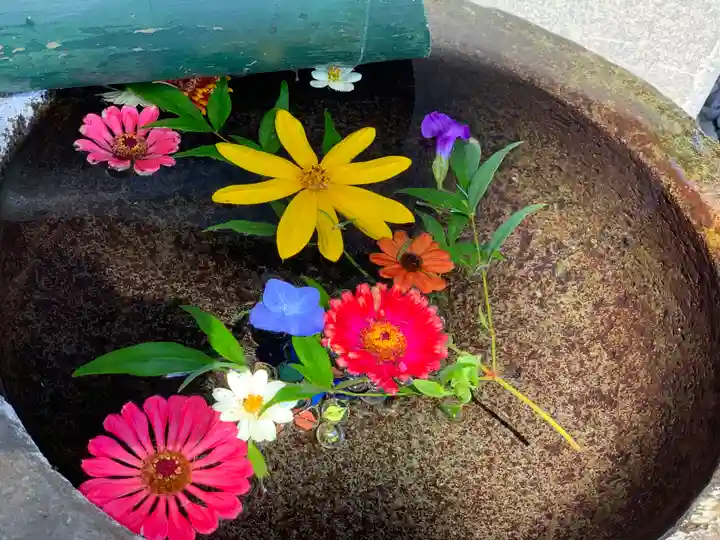 今市報徳二宮神社の手水舎